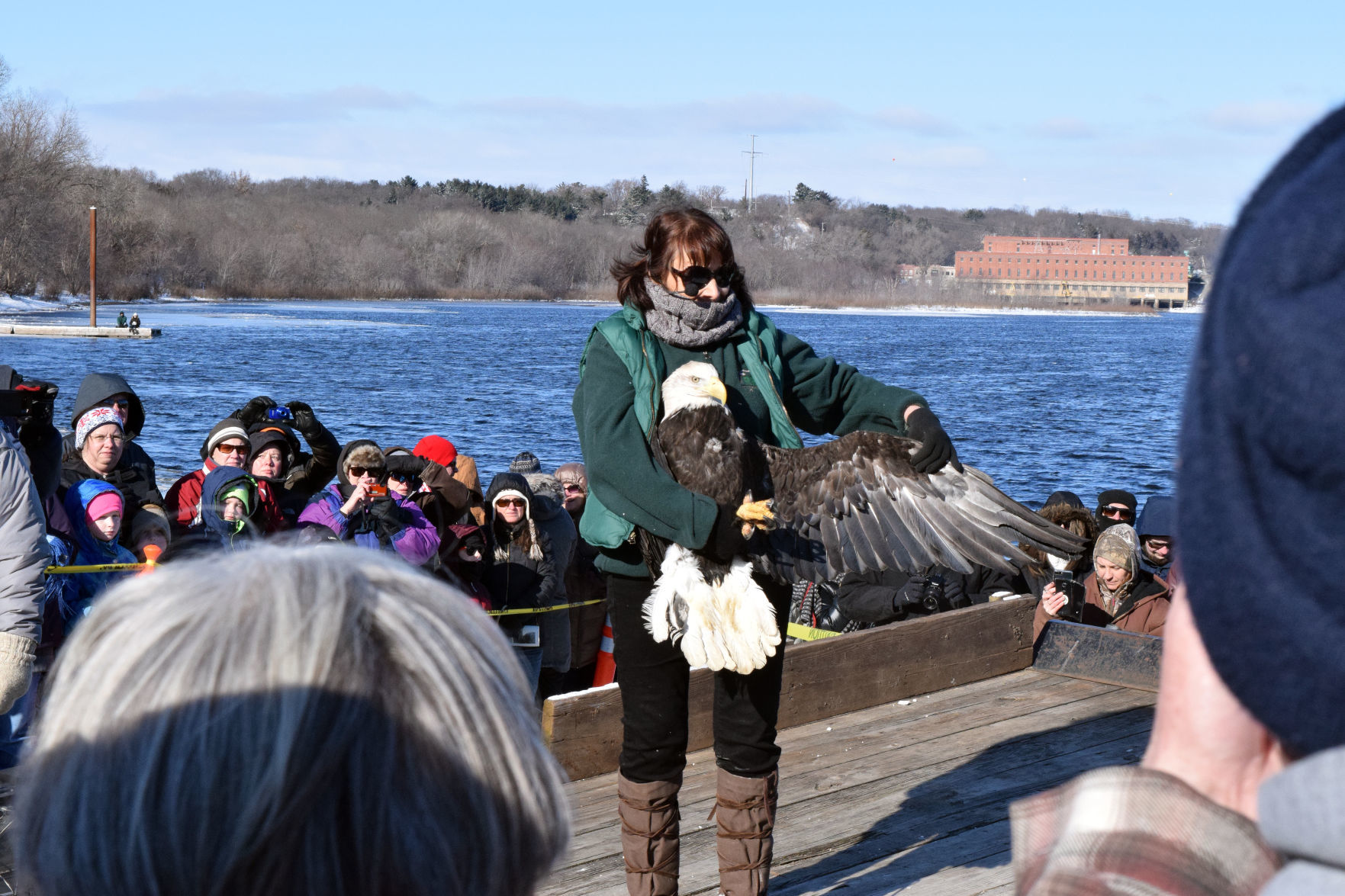 012019-sauk-gallery-eagle012